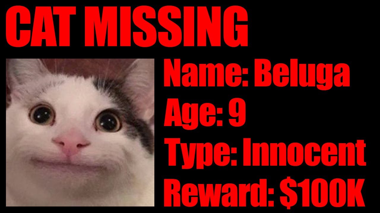 When Beluga Goes Missing... (bad ending)