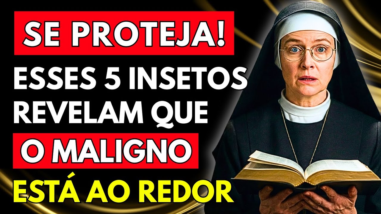 SANTA TERESA REVELOU: 5 INSETOS QUE APARECEM NA SUA CASA QUANDO UM ESPÍRITO MALIGNO ESTÁ TE CERCANDO