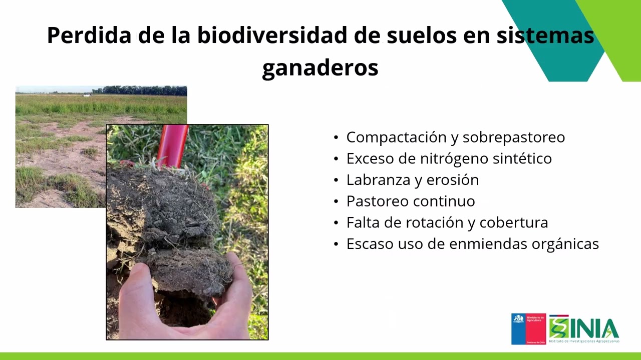 Insumos para recuperación de labiodiversidad en el suelo_M3_U2_1C