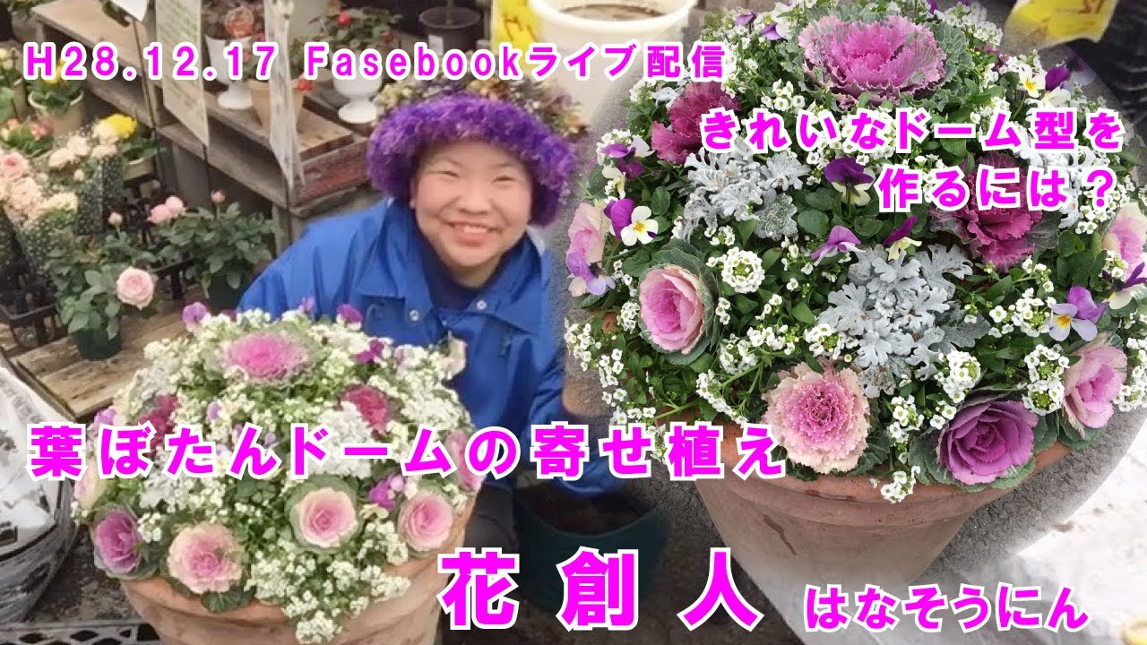 葉ボタンドームまん丸寄せ植えマウント【ギャザリング寄せ植えの作り方】1時間6分55秒／花創人ガーデニング教室2016/12/21