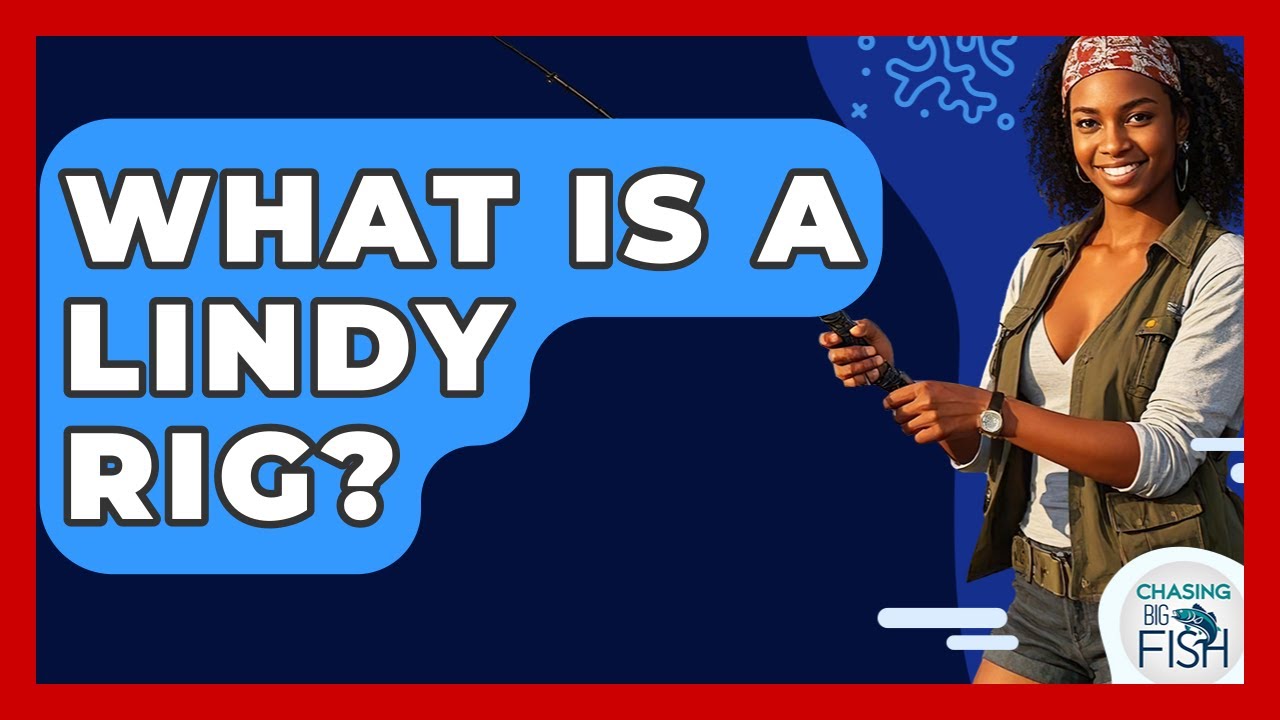 What Is A Lindy Rig? - Chasing Big Fish