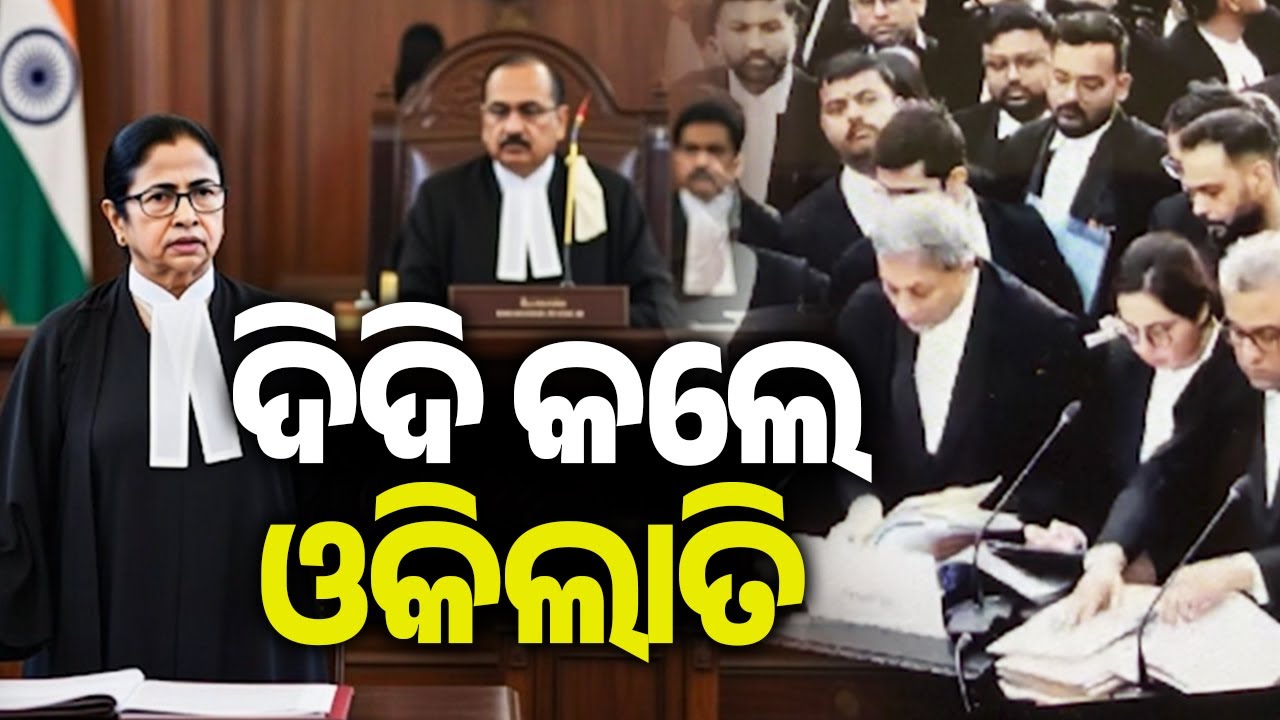 ଦିଦି କଲେ ଓକିଲାତି | Kalinga TV