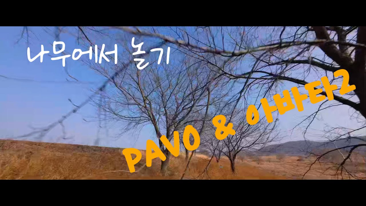 커스텀 5인치&아바타2)나무에서 놀기