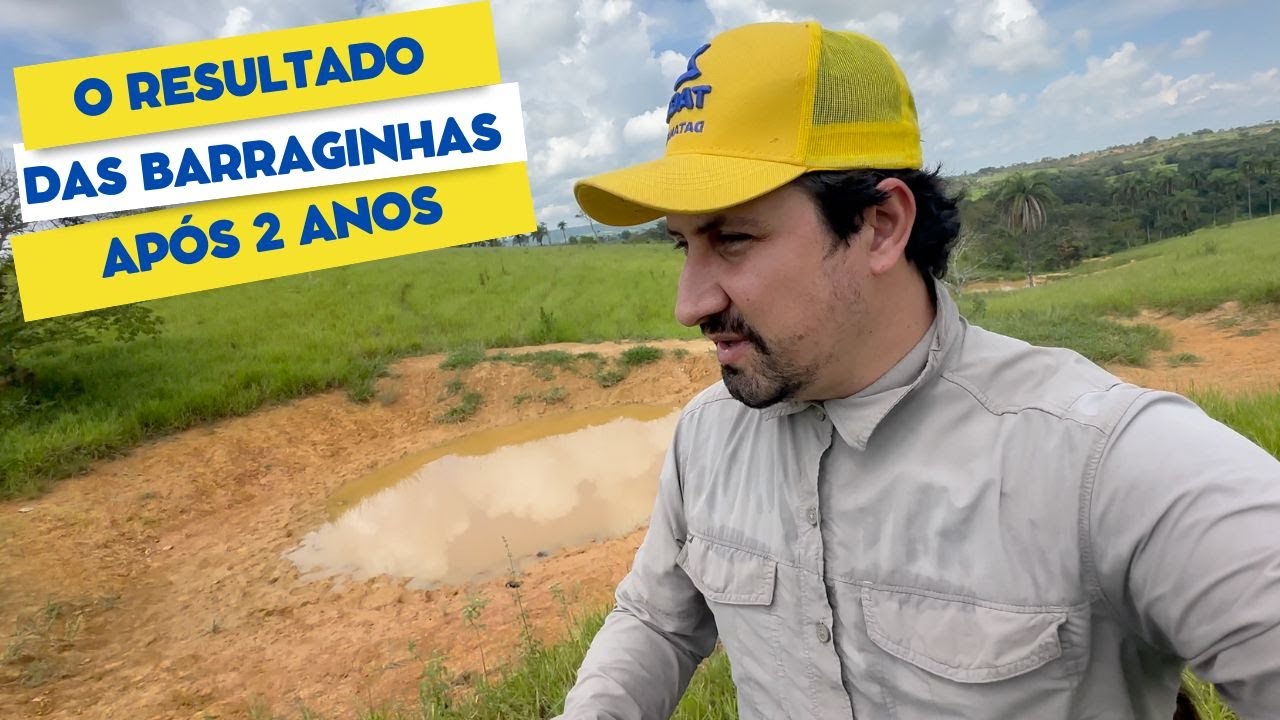 Como estão as barraginhas depois de dois anos construídas na fazenda.