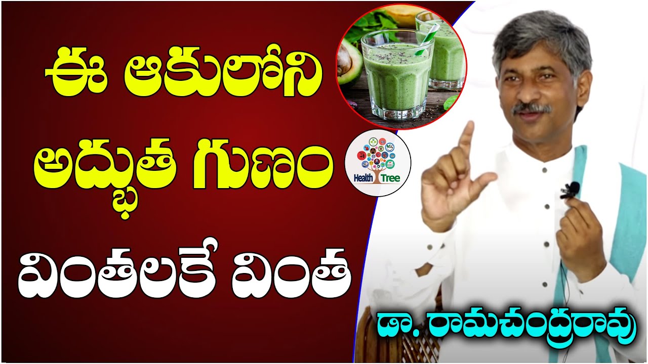 Dr. Ramachandra Rao On Basic Health Problem || Nature Care || Health Tree