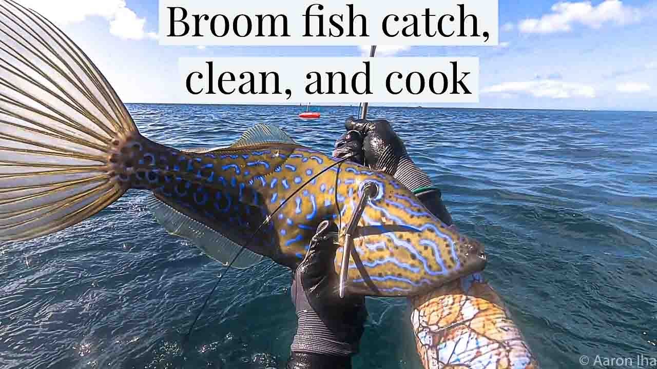 CRAZY FISH SPEARFISHING HAWAII - broomfish catch, clean, cook