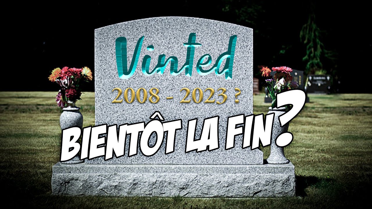 Arnaques, Vols et Contrefaçons : Le Côté Obscur de Vinted !