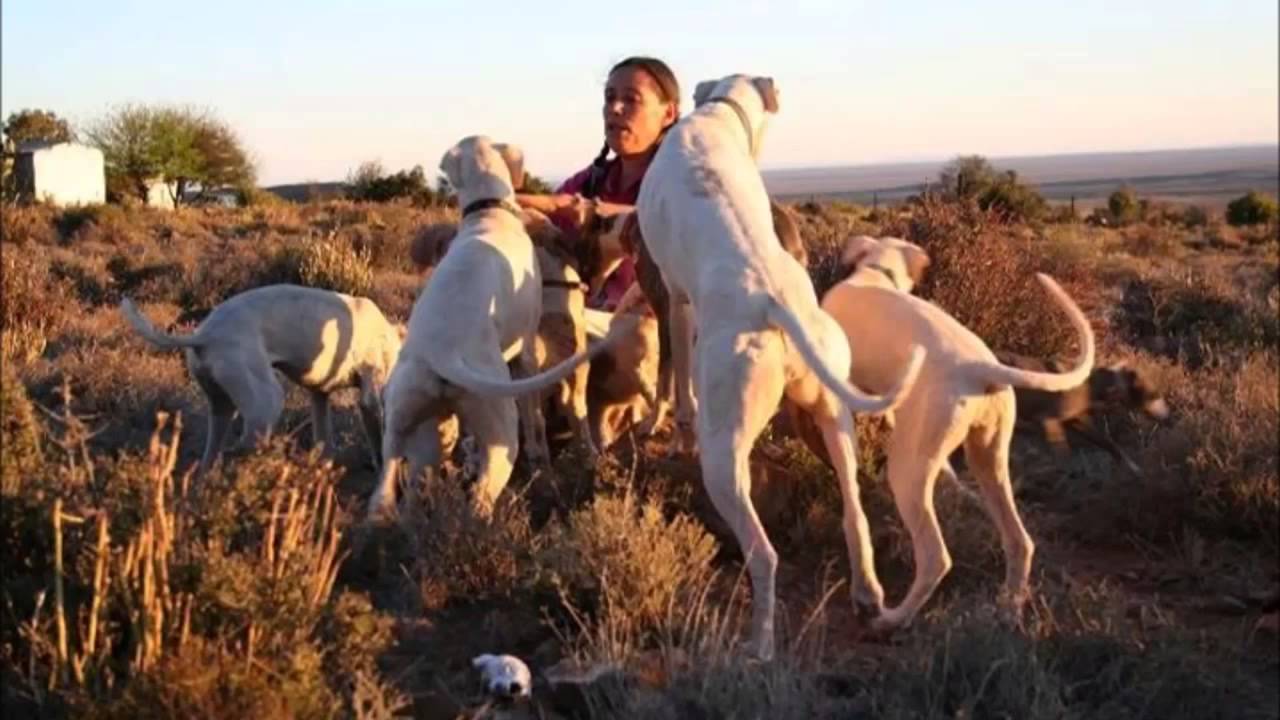 Die Oom en die Juffrou - deur Bruno Andries en Eva Mouw