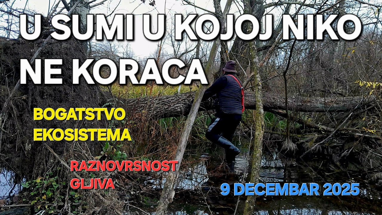 U sumama kojim niko ne koraca//Raznovrsnost ekosistema