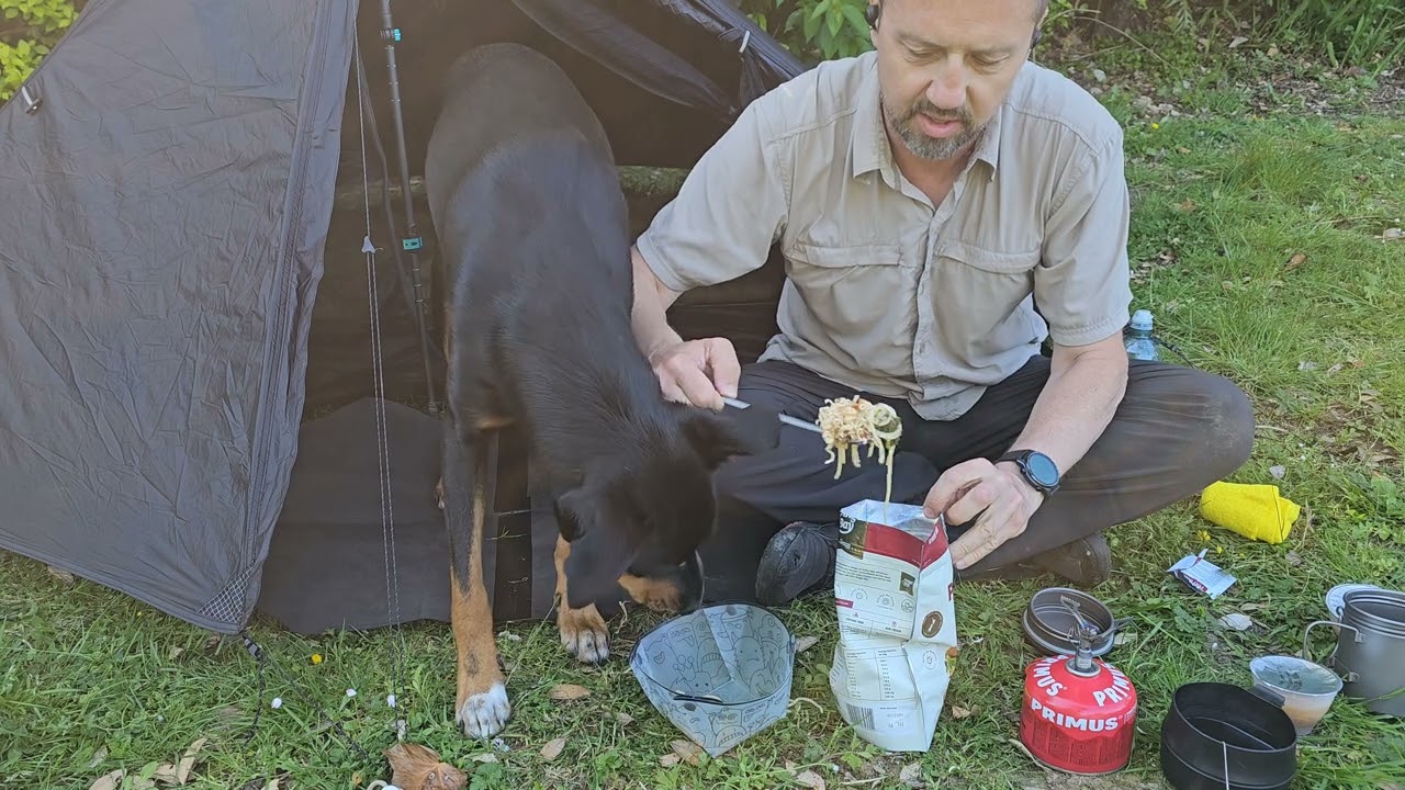 ⭐ 24 Hours in a Secret NZ Valley | Reset & Renew with My Huntaway Rescue Dog George