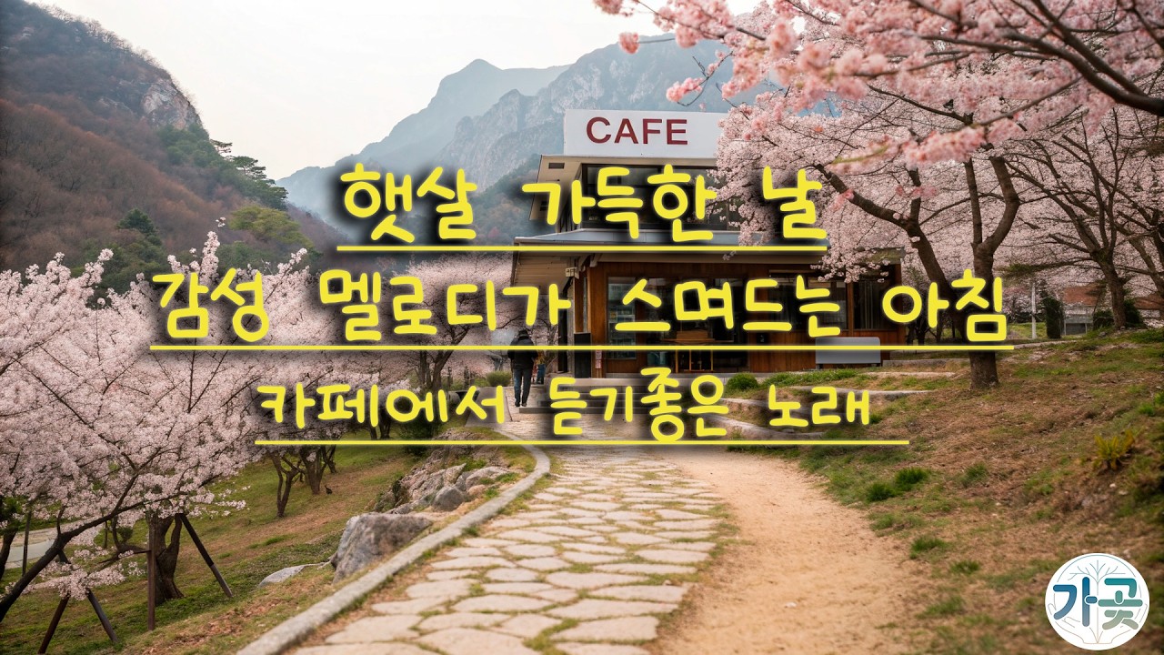햇살 가득한 날 ✨ 하루종일 틀어두기 좋은 팝송 | 카페에서 듣기좋은 노래 🎶