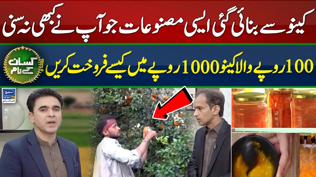 Value addition of citrus fruits | Kissan Kay Naam | EP 48 | Suno News HD