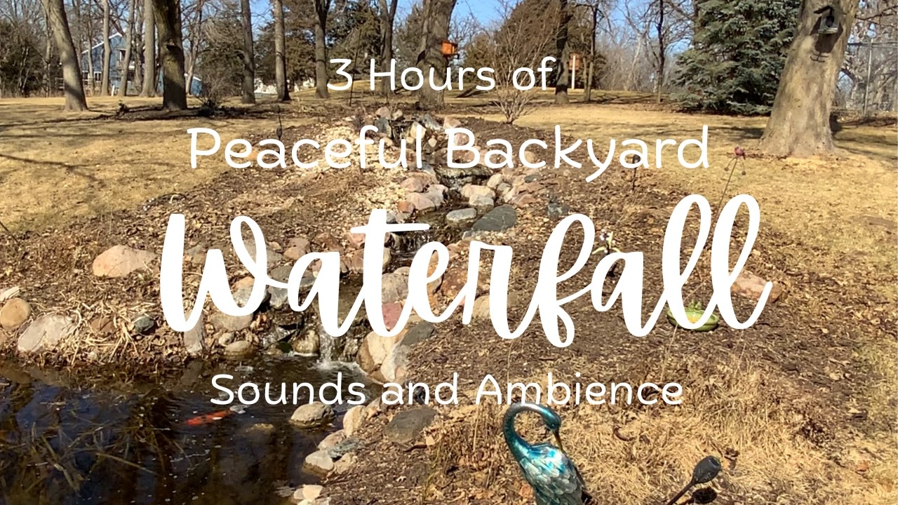 3 Hours of Peaceful Waterfall Sounds 💧 Koi Pond, Birds & Squirrels | Relaxing Nature Ambience