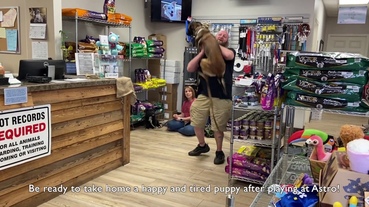 Astro Kennels' Facility Tour