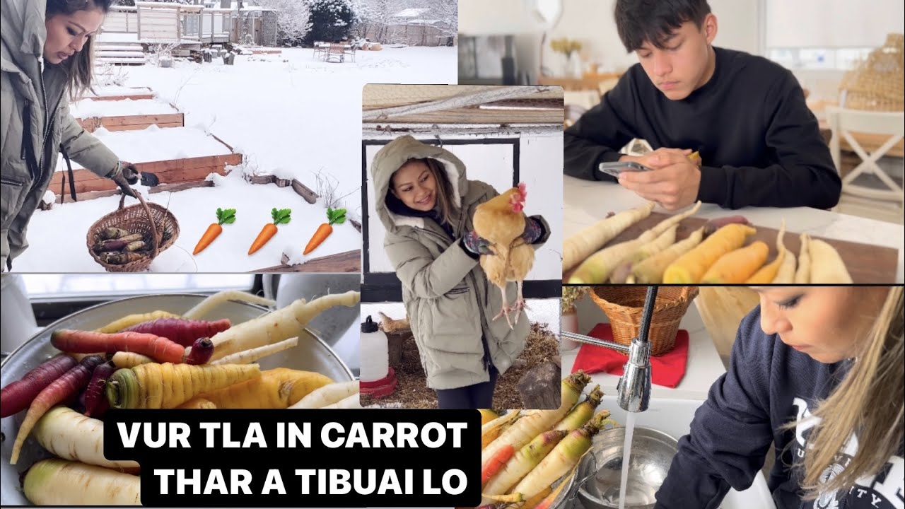 KA FAPA AMOSA'N TUI TI TAKIN KAN CARROT THAR A EI HMIAH HMIAH MAI | CARROT IN KHAWVAWT AN NGAM EM EM
