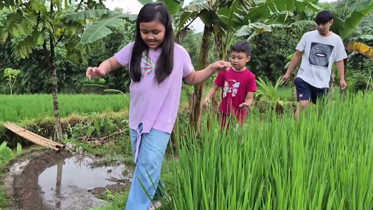 Nana daffa explore sawah kakung Januari 2026