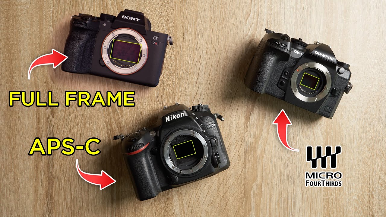 NO, FULL FRAME NO ES MEJOR. (FF vs APS-C vs Micro 4/3)