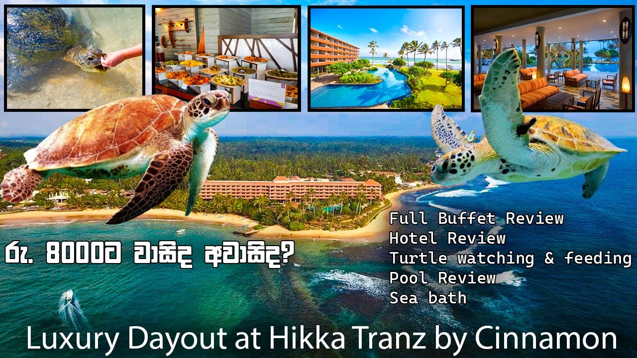 Hikka Tranz by Cinnamon Luxury Day Out 2025 | Rs. 8000 | Turtle Watching | Hikkaduwa Hotel Review