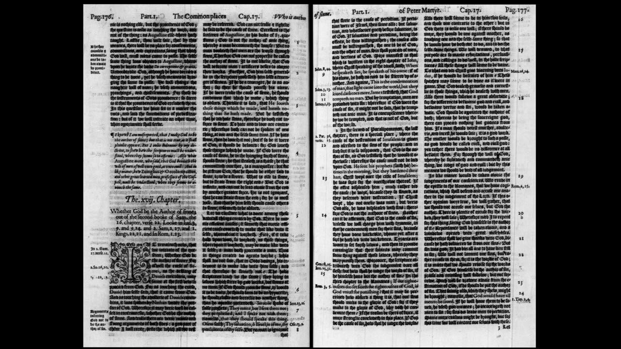 Vermigli: On the Cause of Sin 2