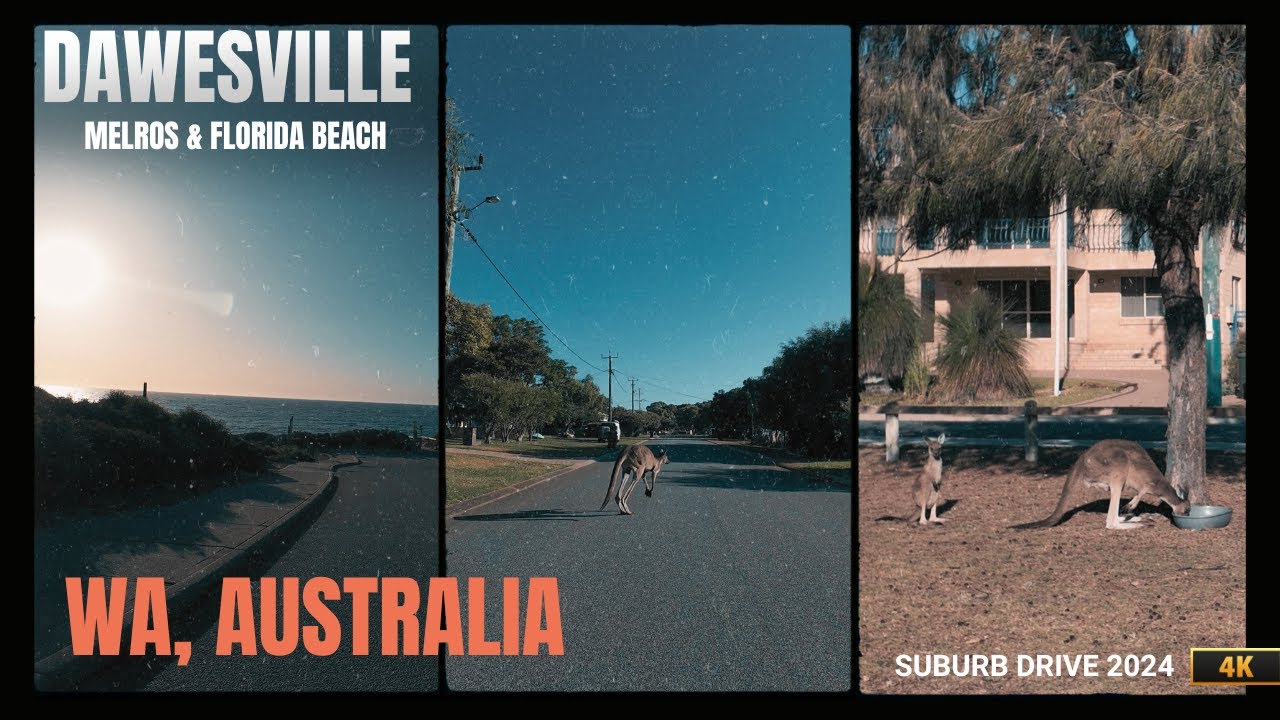 Dawesville Suburb Drive (Life with Kangaroos) (4K): Mandurah, WA, Australia - Summer 2024