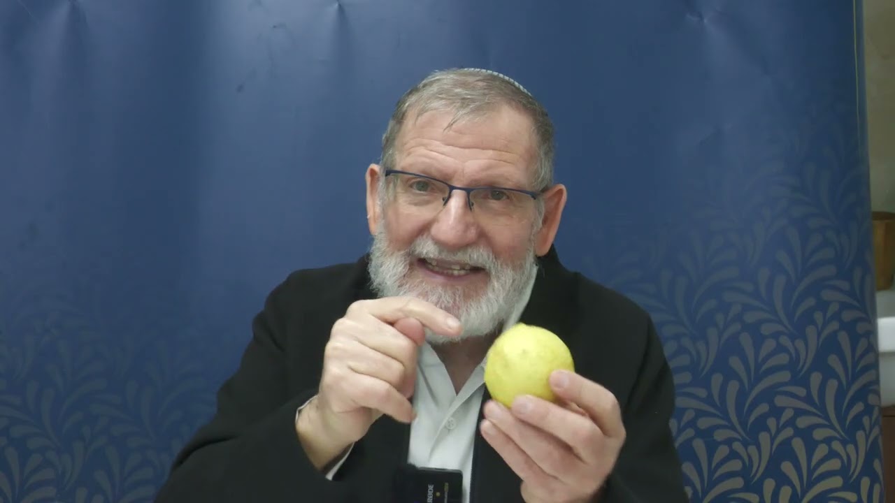 הרב ד