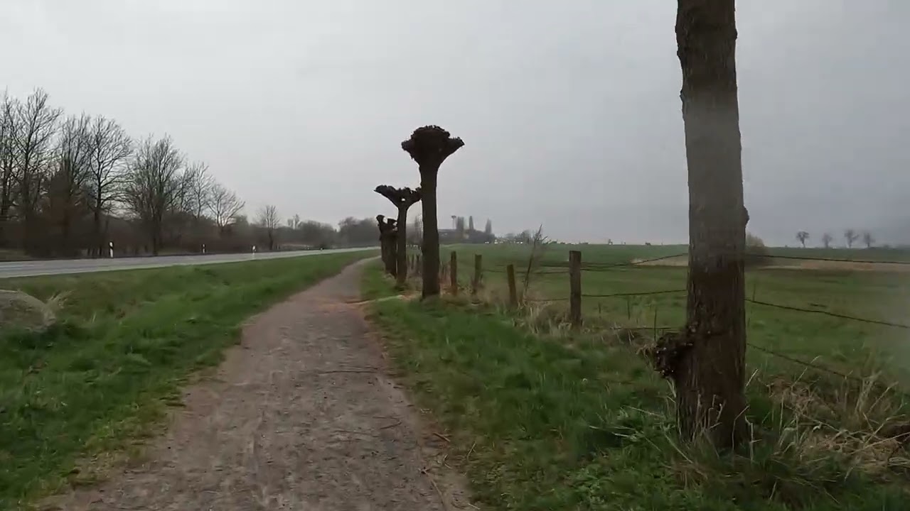 Cycling  in  Germany: Über 50 Kilometer quer durch Rügen mit dem Fahrrad