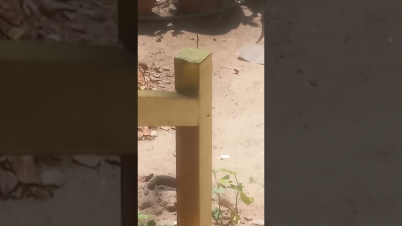 Me Deepa alone at my own house Sahadeva Mandiram Olakettyambalam Bharanicavu Village 