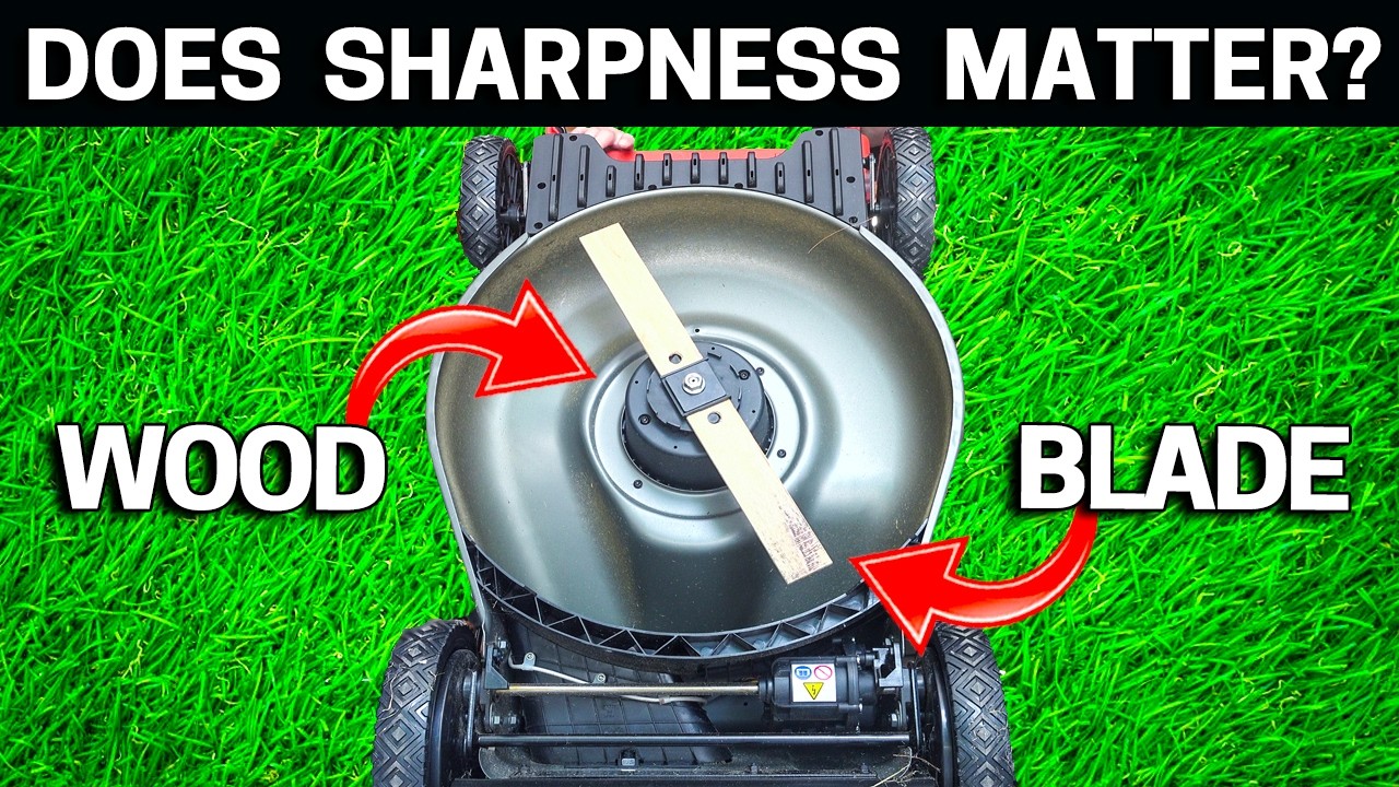 Lawnmower Blades are Expensive - So I made a Wood One