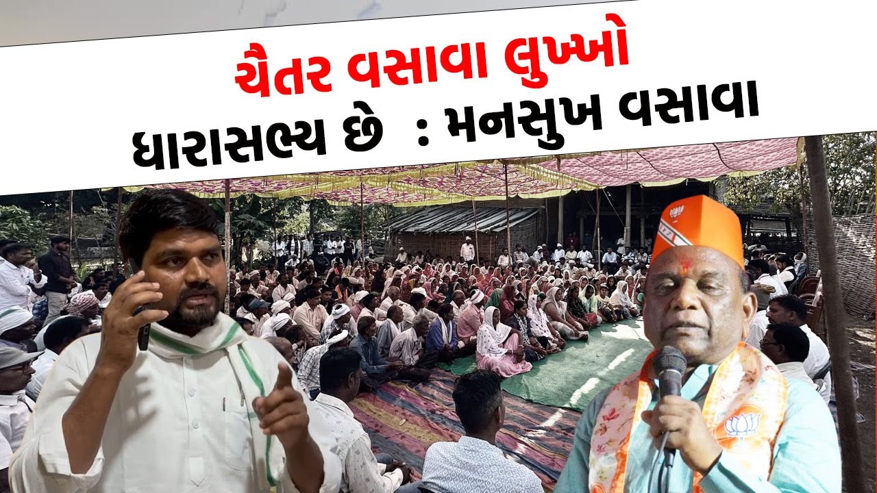 Chaitar Vasava આદિવાસી સમાજને ગેરમાર્ગે દોરે છે : Mansukh Vasava