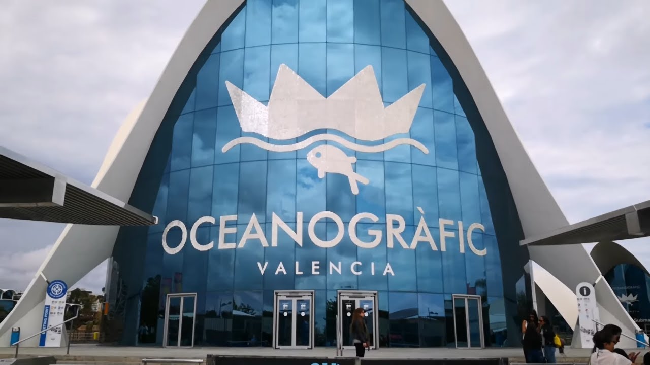 Oceanografico Valencia - Vi porto a fare un giro!