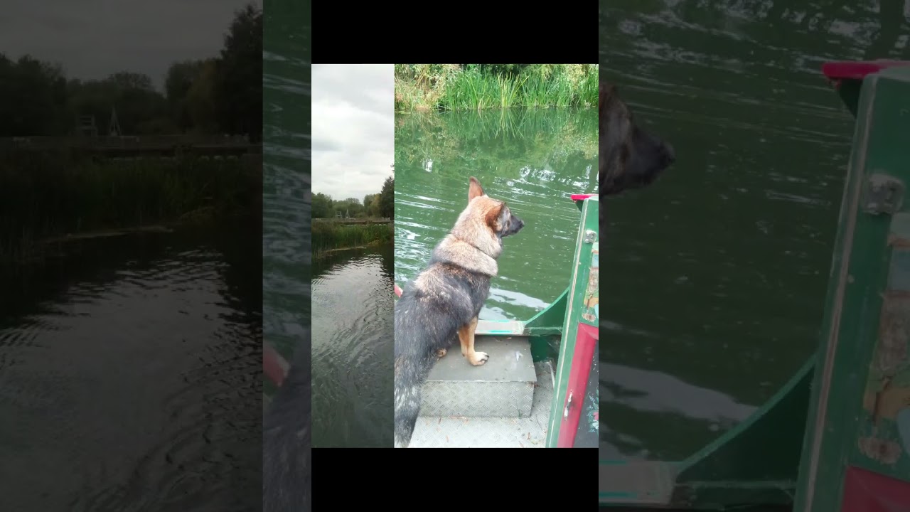 Transporting Ozzie fuelboat Bedford to Reading The Great River Ouse 