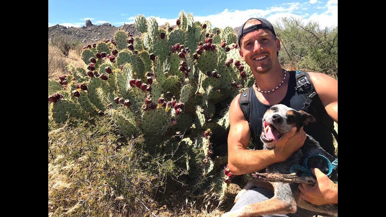 Desert Superfoods | Eating Cactus
