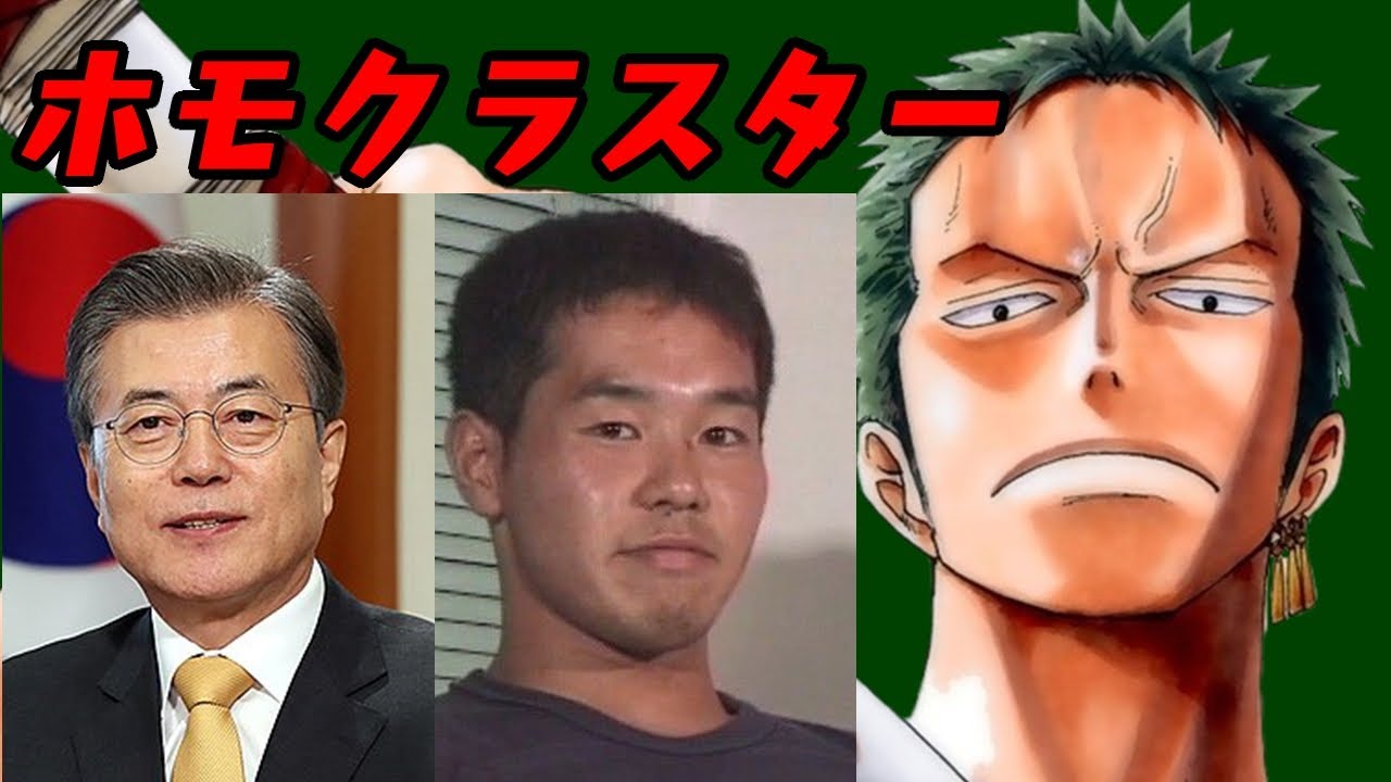 韓国でホモが全国指定手配になってる件をONEPIECEのゾロが解説