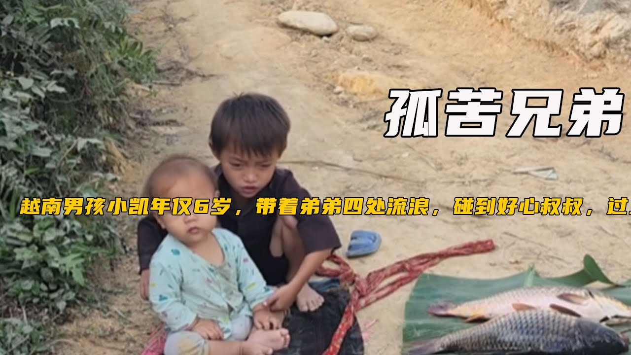 越南男孩小凱年僅6歲，帶著弟弟四處流浪，碰到好心叔叔，過上幸福生活《81-90》
