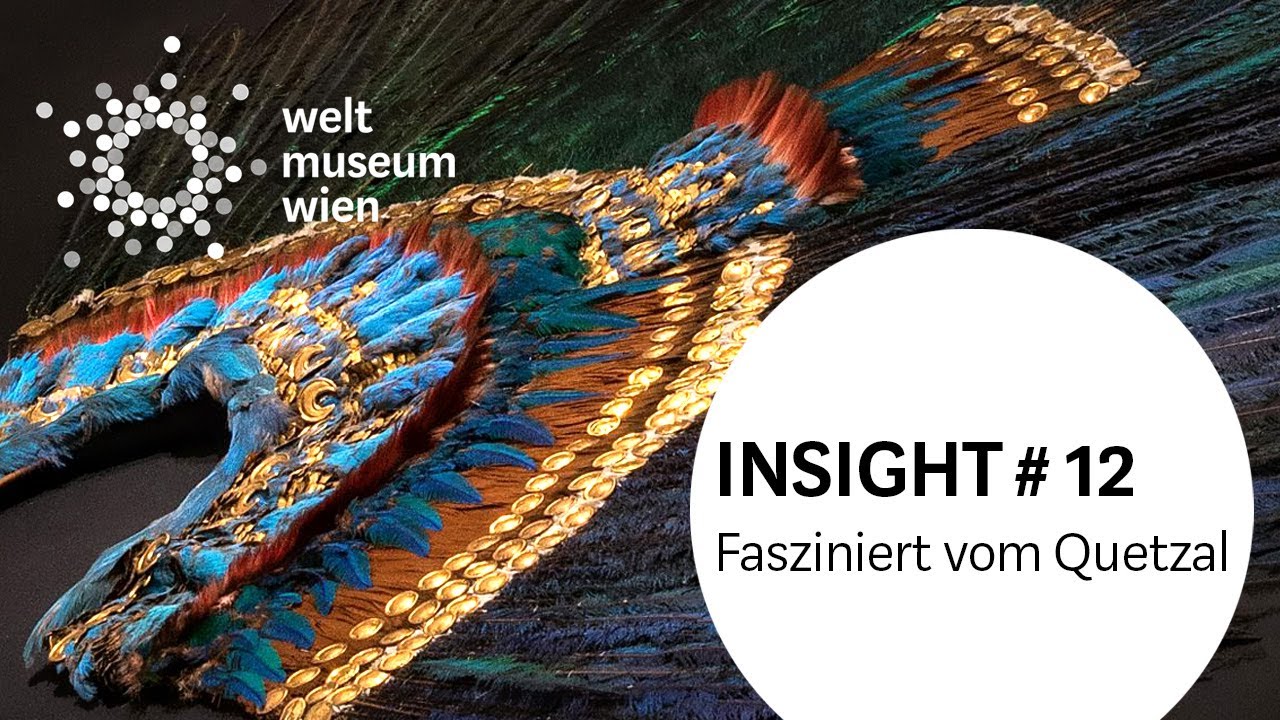 INSIGHT # 12 - Fasziniert vom Quetzal