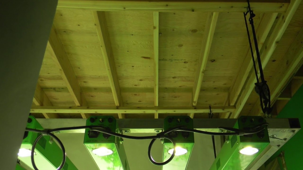 #hangyourlight  short#1 #ledgrowlights #growlights