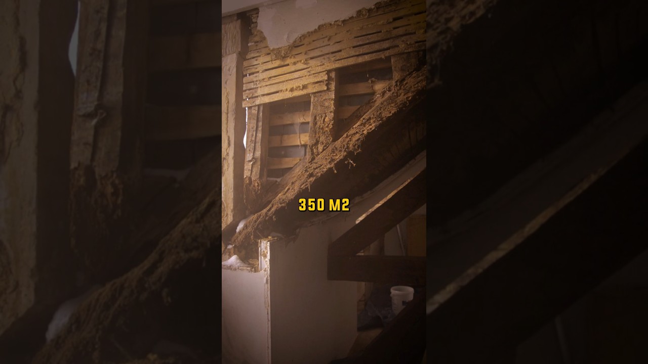 JOUR 70/180 - Pour sauver la BARAQUE 