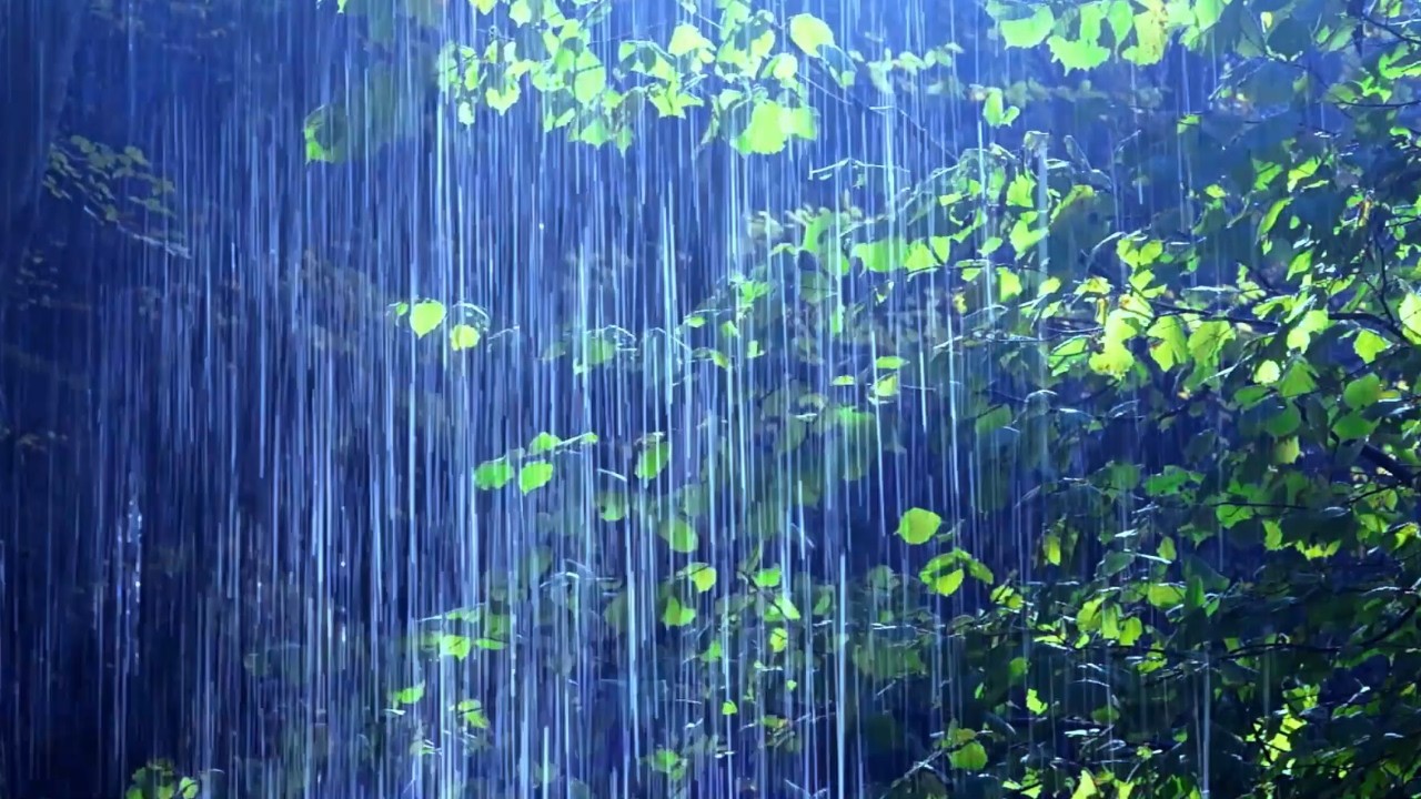 Warm Summer Rain – 8 Hours of Relaxing Rain Ambience