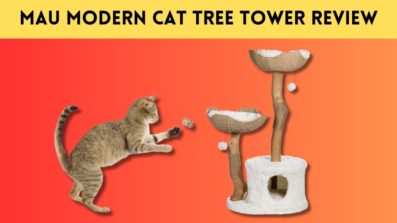MAU Modern Cat Tree Tower Review