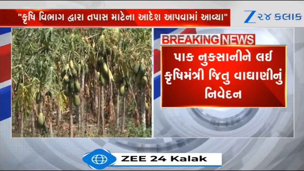 Orders issued to undertake crop loss survey in Gujarat, says Agriculture Minister Jitu Vaghani