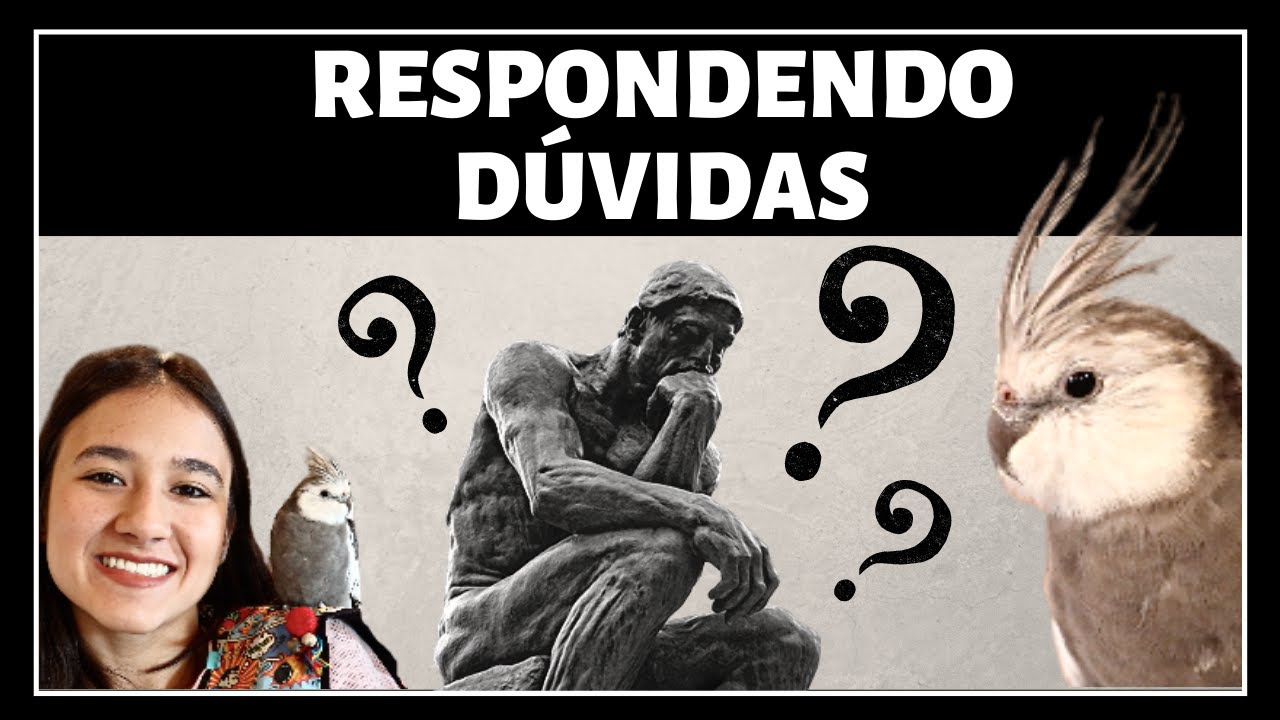 DÚVIDAS SOBRE CALOPSITAS / RESPONDENDO INSCRITOS