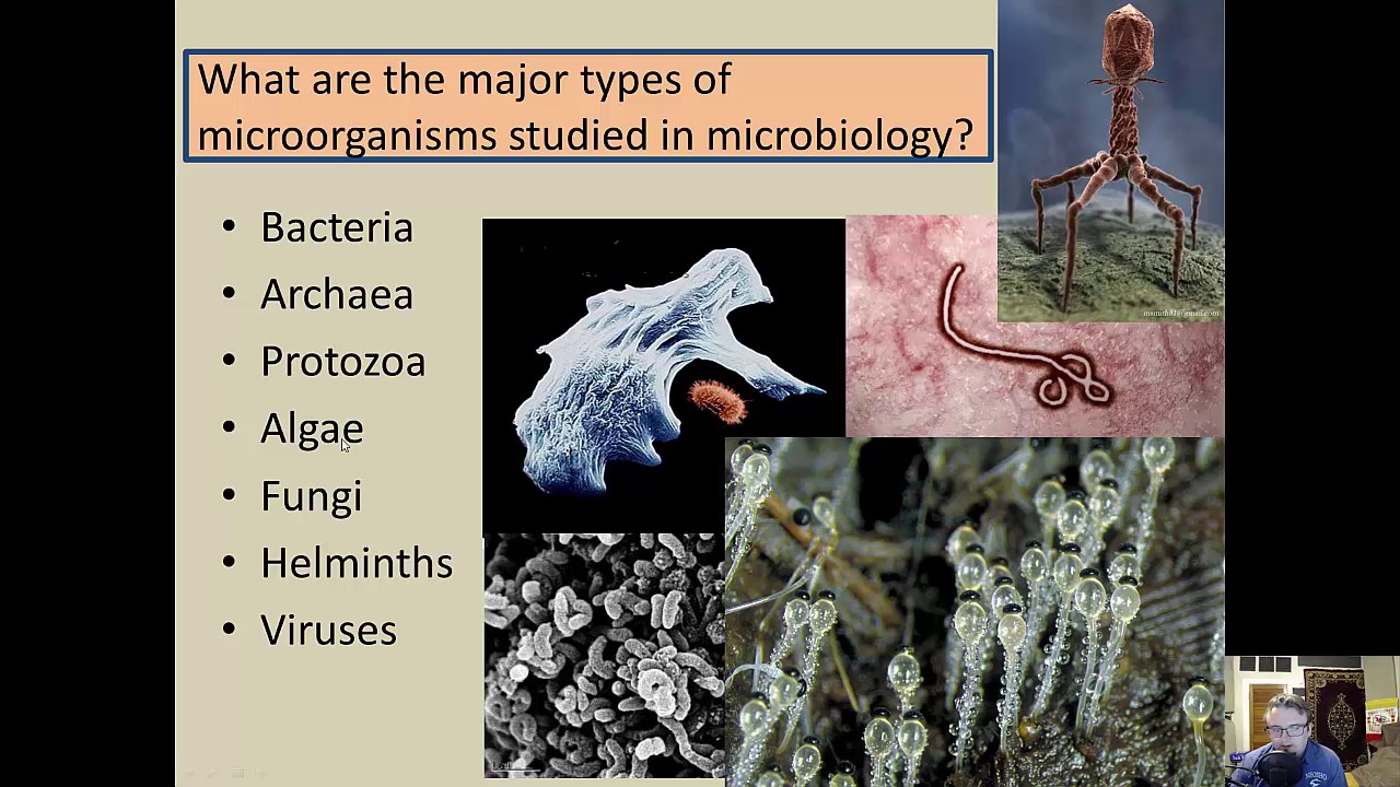 Microbiology - Introduction to Microbiology - Chapter 1 - Part 1.2