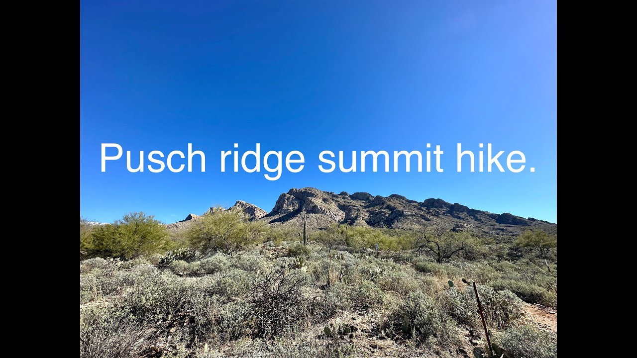 Pusch Ridge Summit Hike