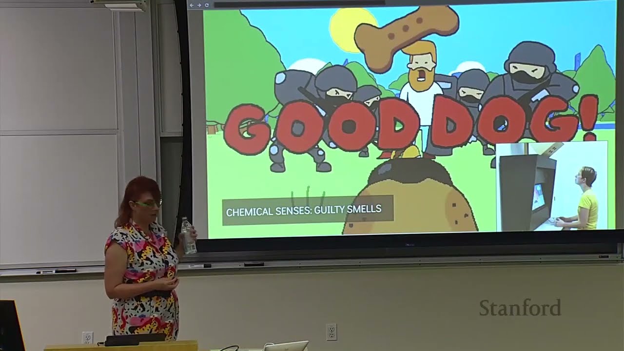 Stanford Seminar - Exuberant Systems: Game Design Against Climate Catastrophe, Heather Kelley