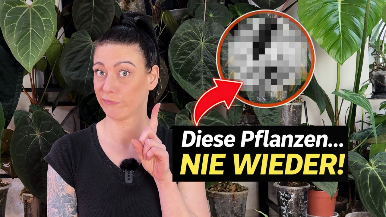 Pflanzen-Hölle - Warum ich diese !0 🌱 NIE WIEDER kaufen würde 😡
