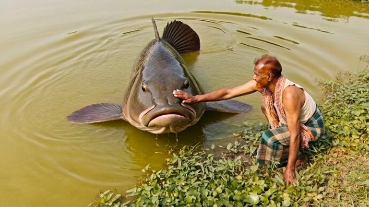 Fishing Video - Taki fish - big Fish - Cvb Tv