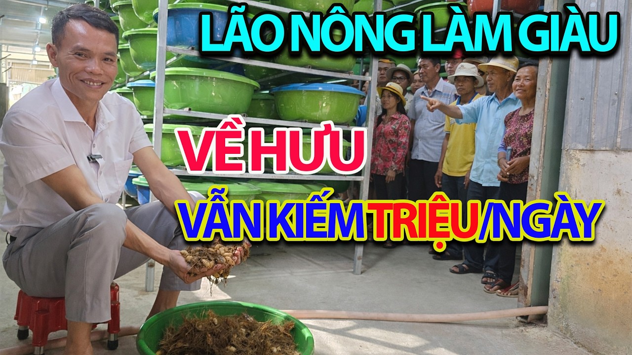 Bí Quyết Người Về Hưu Vẫn Kiếm Tiền Triệu Mỗi Ngày Khi Liên Kết Nuôi Đuông Xuất Khẩu Tại Miền Nam