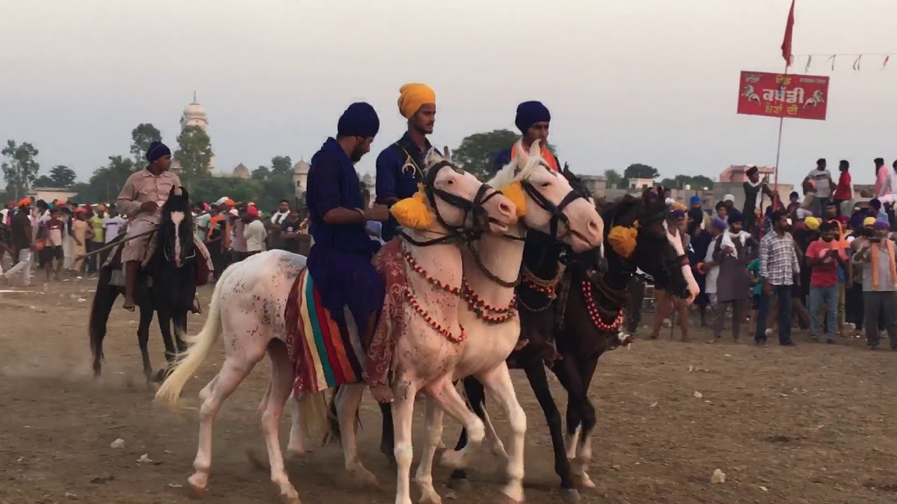 Baba Bidhi Chand ji |Horses Race Nihang Singh,Tarna Dal Baba Pala Singh ji Barsi |Baba Bakala Sahib