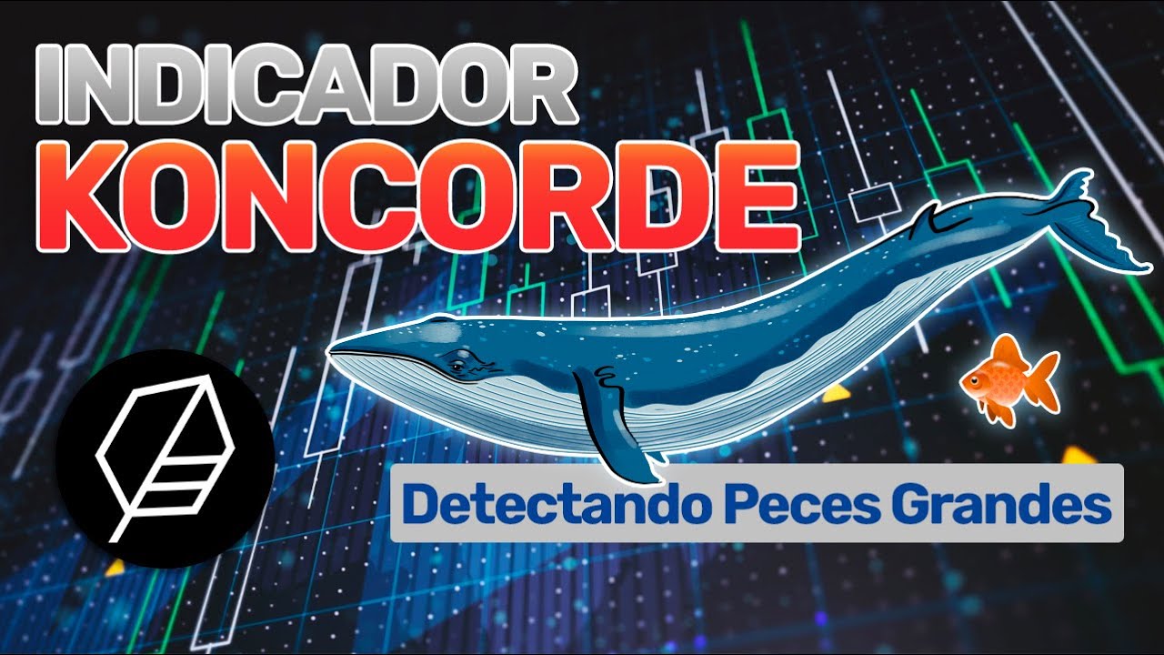 KONCORDE: Detectando las Manos Grandes del Mercado [ PATRONES, INDICADOR, USOS ] | Tio Mercado