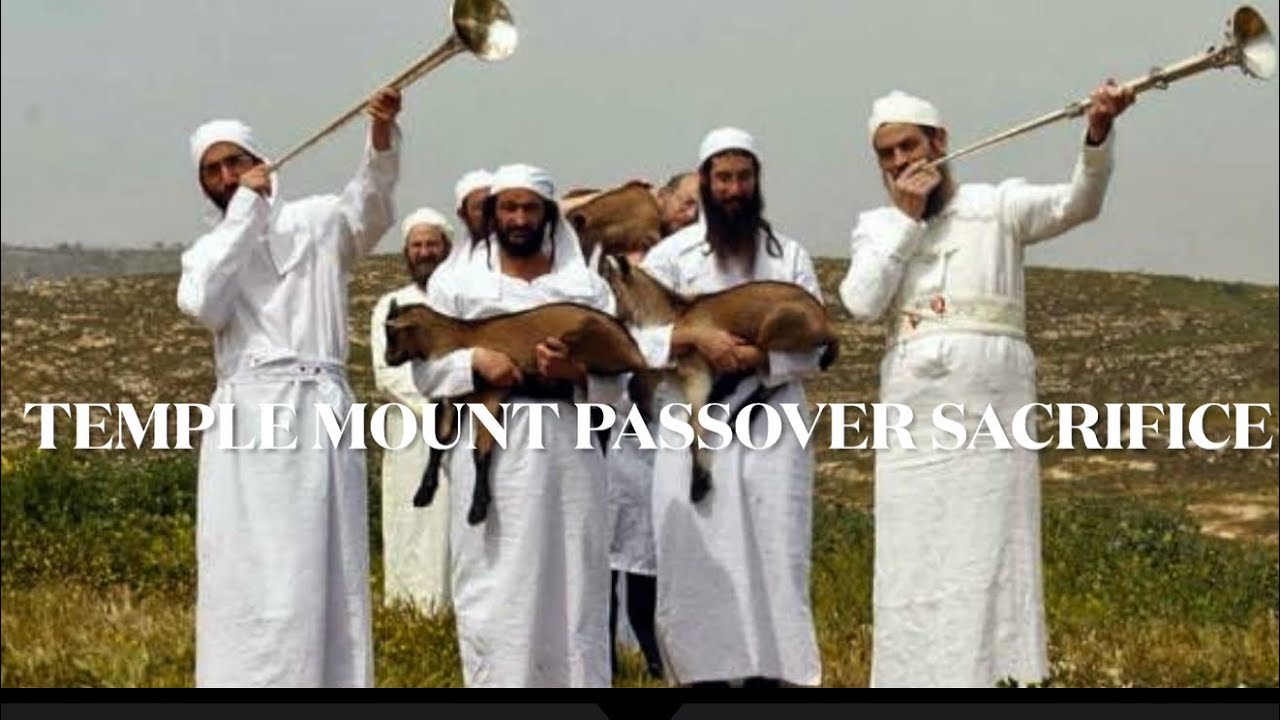 Раввины😳 надеются совершить пасхальное жертвоприношение🐑 на Храмовой горе в этом 2026 году